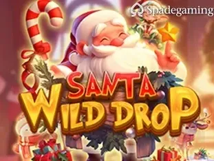 Santa Wild Drop game icon